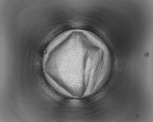 X0000111600265200908061421
