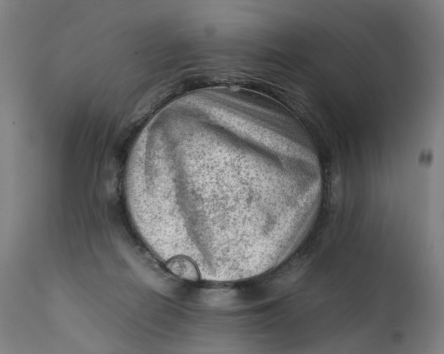 X0000111600266200908061421