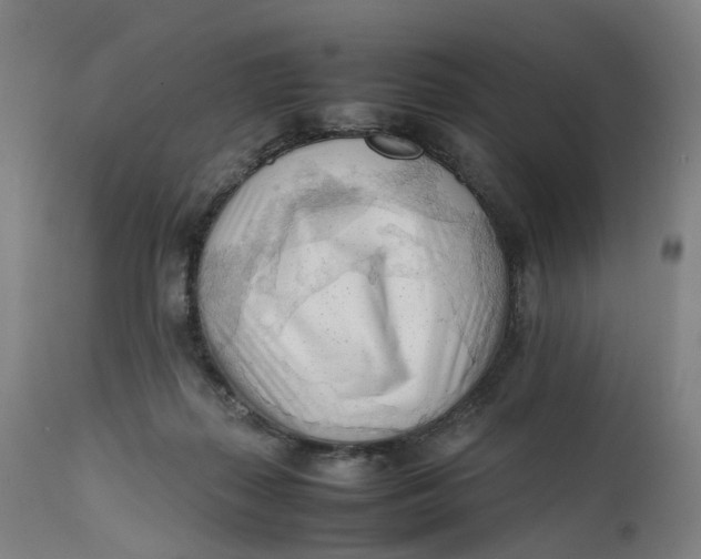 X0000111600267200908061421