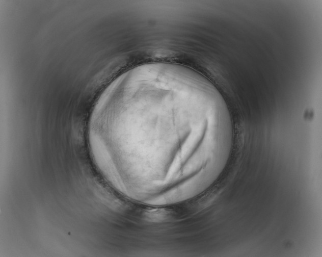 X0000111600269200908061421