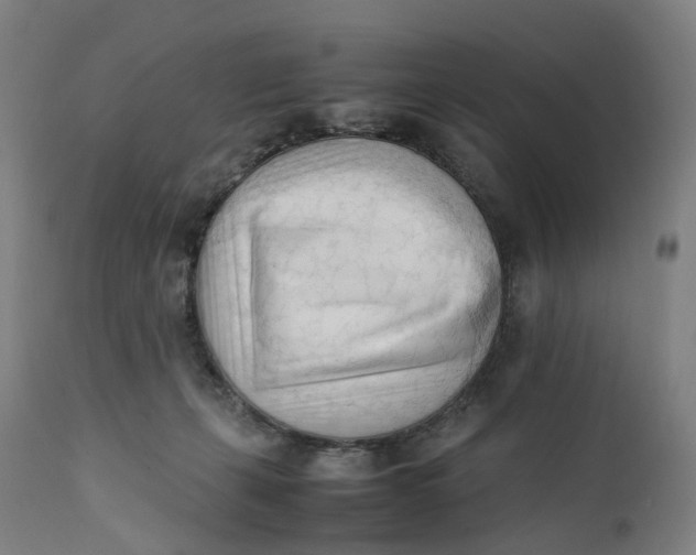 X0000111600271200908061421