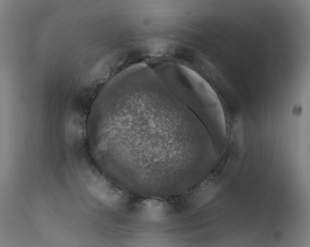 X0000111600272200908061421