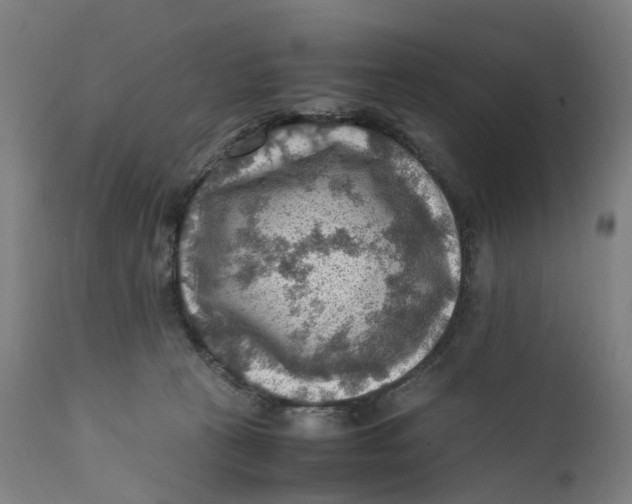 X0000111600273200908061421