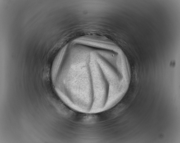 X0000111600274200908061421