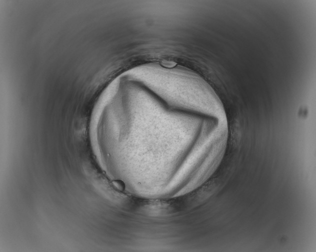 X0000111600278200908061421