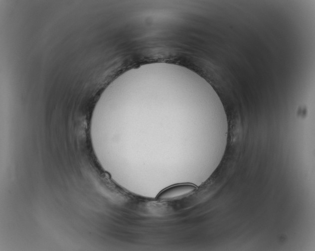 X0000111600279200908061421