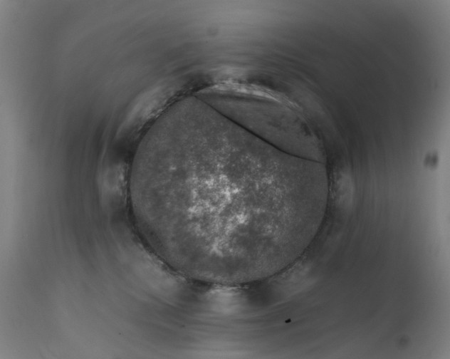 X0000111600280200908061421