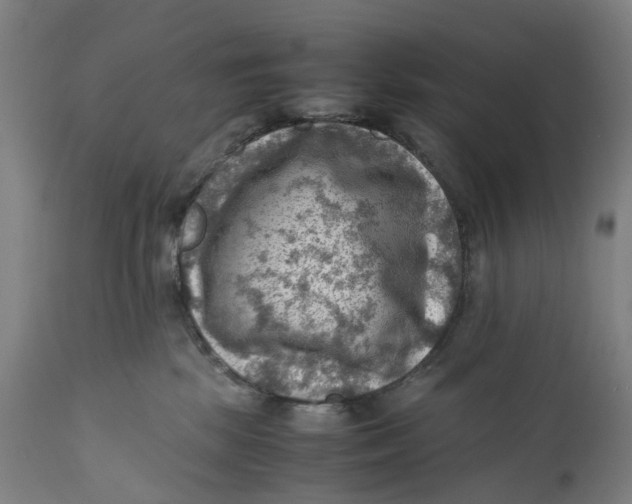X0000111600281200908061421