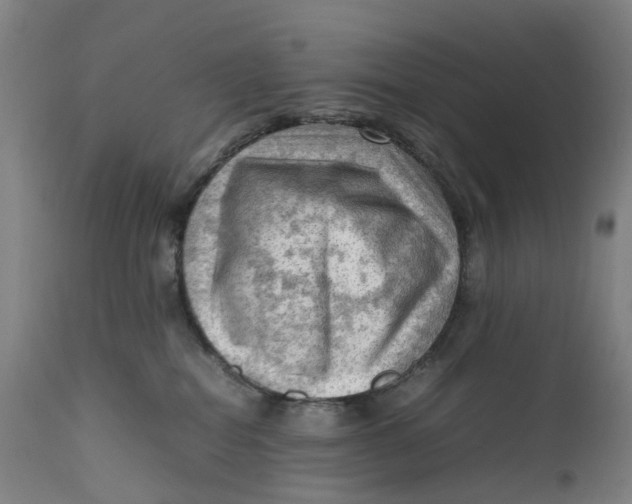 X0000111600282200908061421