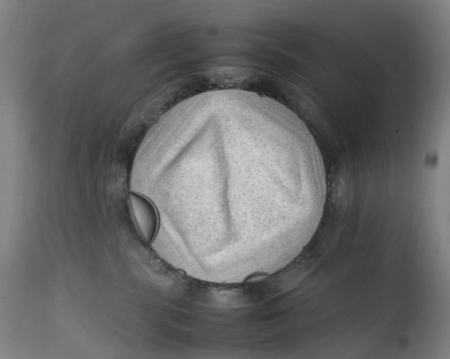 X0000111600283200908061421
