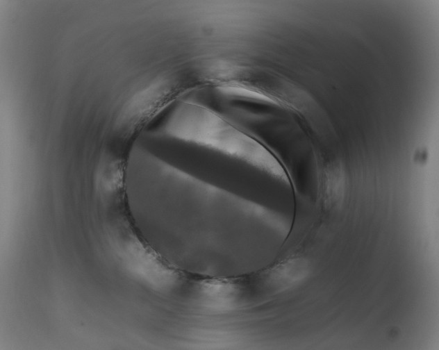 X0000111600284200908061421