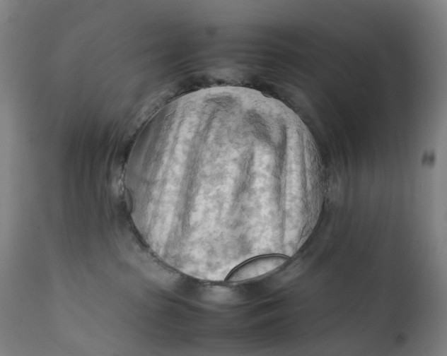 X0000111600285200908061421