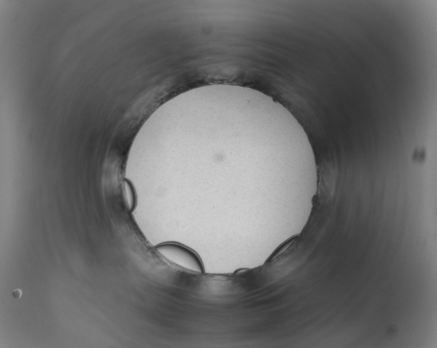 X0000111600287200908061421
