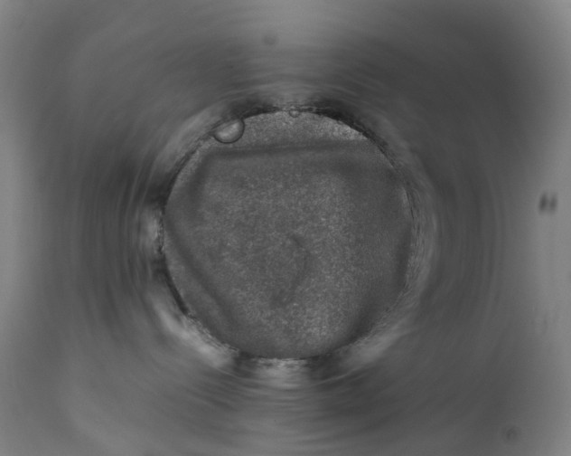 X0000111600288200908061421
