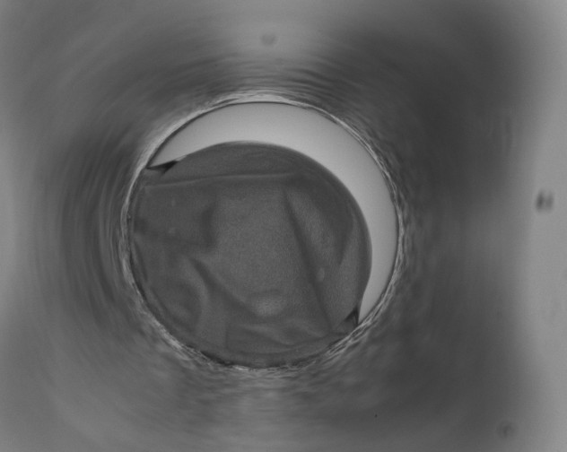 X0000111600289200908061420