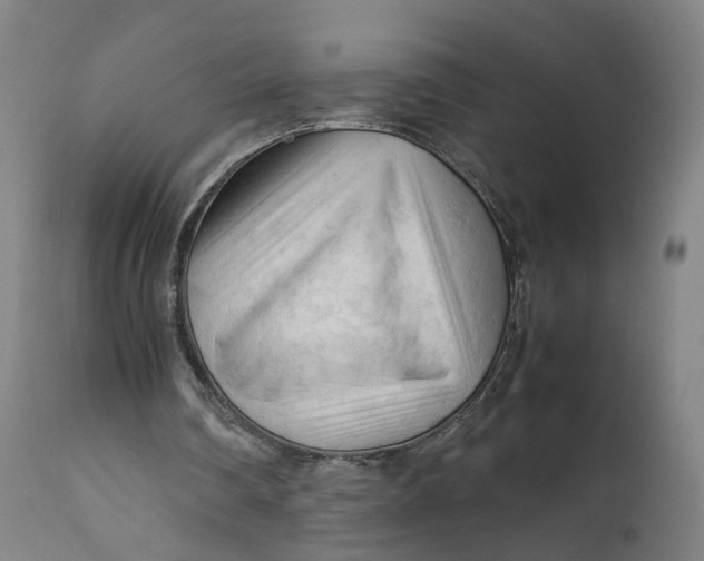 X0000111600290200908061420