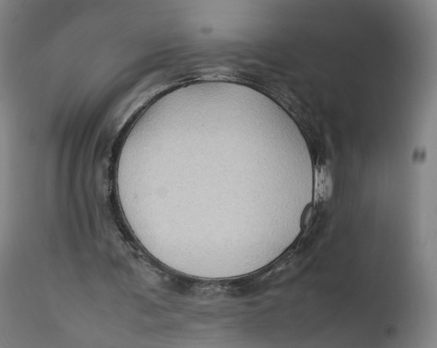 X0000111600291200908061420