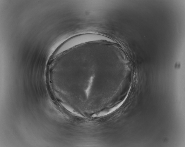 X0000111600292200908061420