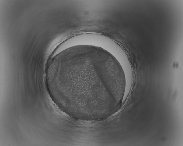 X0000111600293200908061420