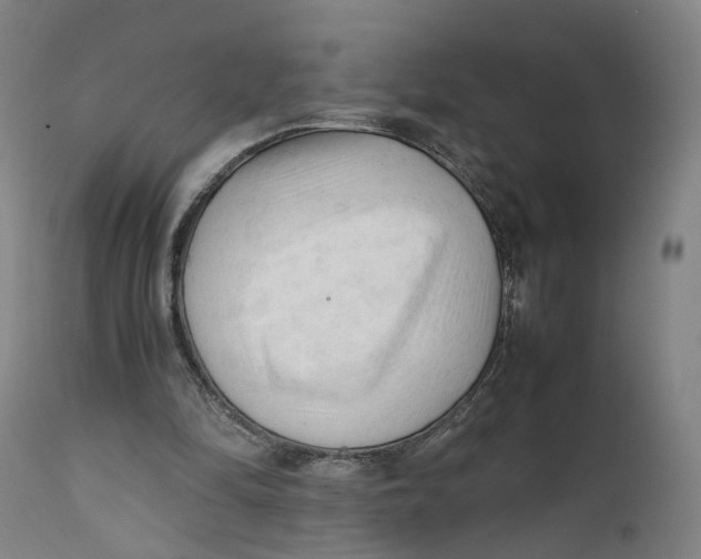X0000111600294200908061420