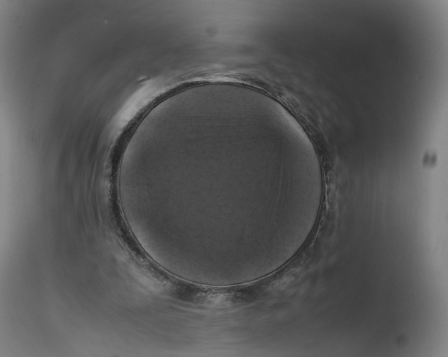 X0000111600295200908061420