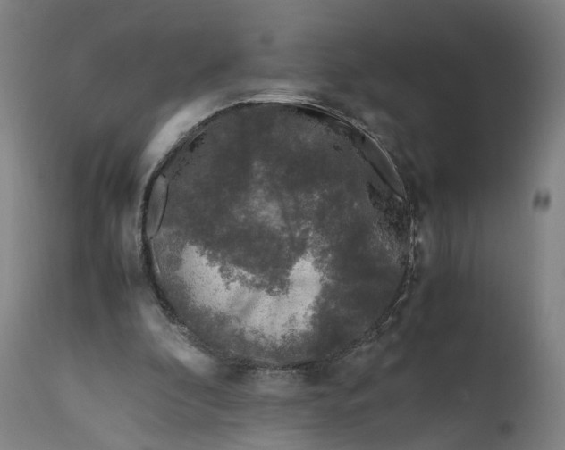 X0000111600296200908061420