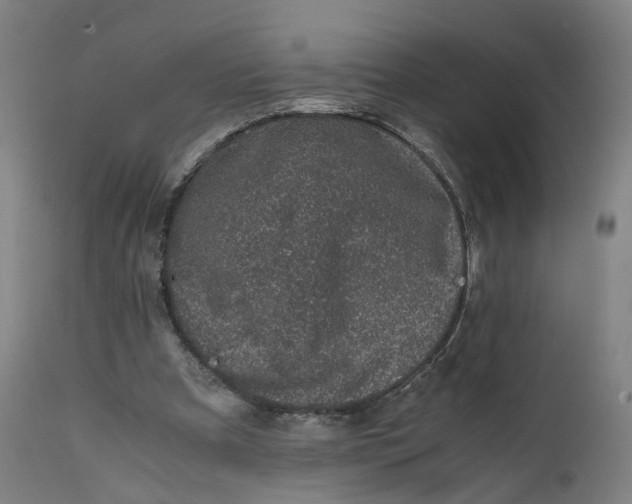 X0000111600297200908061420
