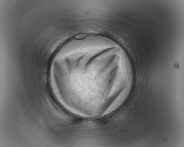 X0000111600299200908061420