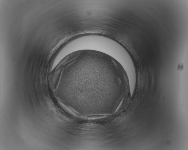 X0000111600300200908061420