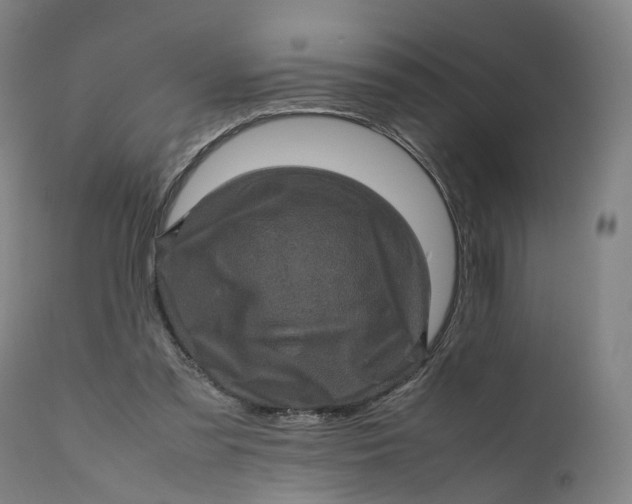 X0000111600301200908061420