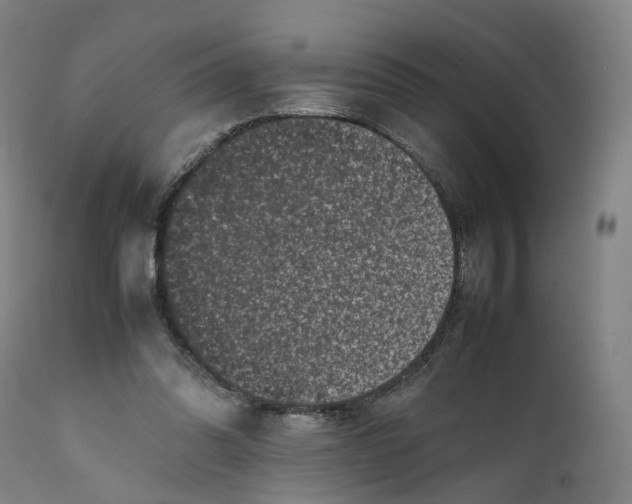 X0000111600302200908061420