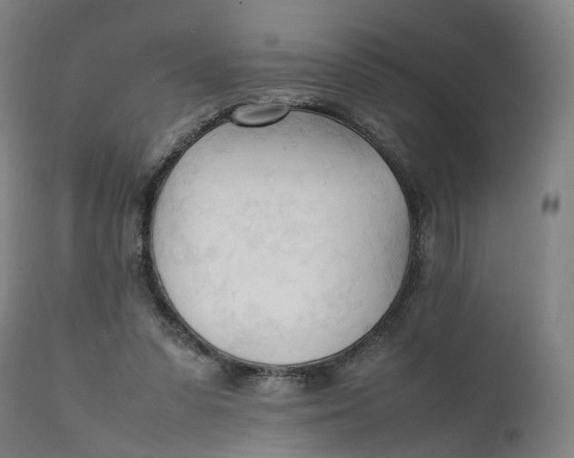 X0000111600303200908061420