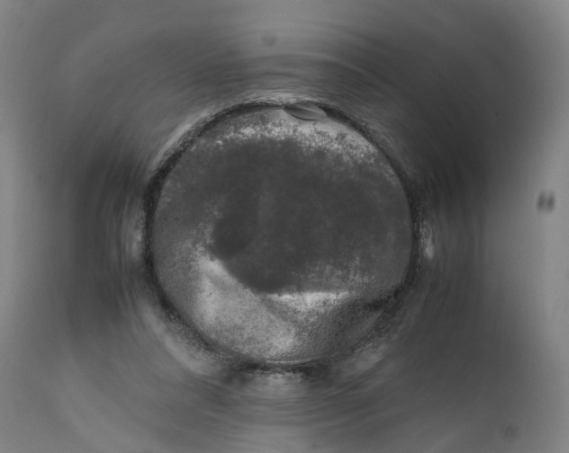 X0000111600304200908061420
