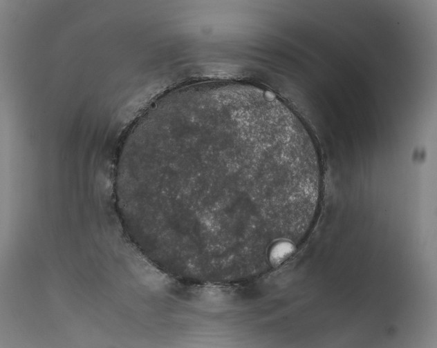 X0000111600305200908061420