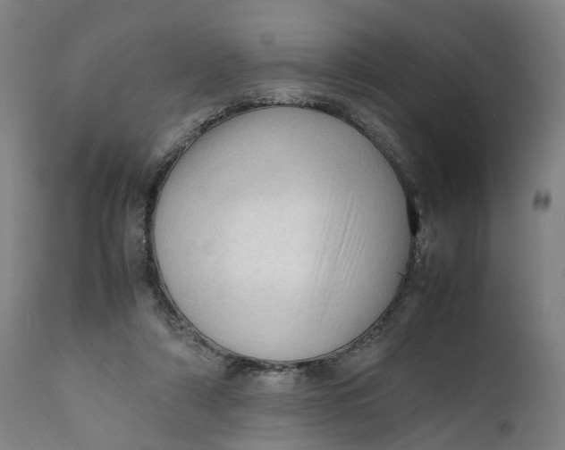 X0000111600306200908061420