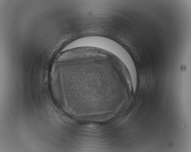 X0000111600308200908061420