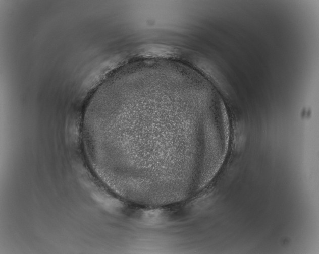 X0000111600309200908061420
