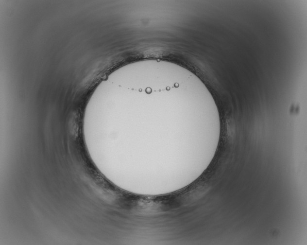 X0000111600311200908061420
