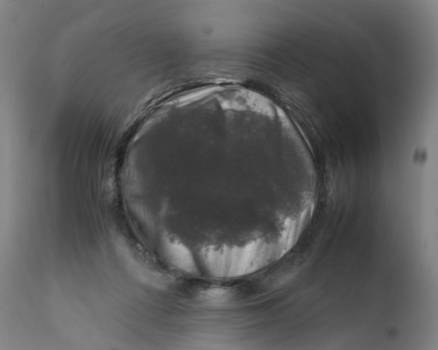 X0000111600312200908061420
