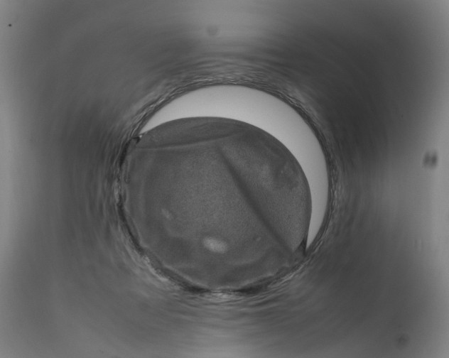 X0000111600313200908061420