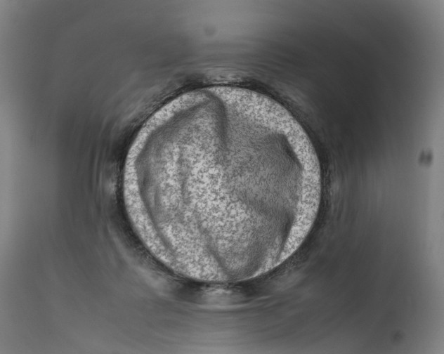 X0000111600315200908061420