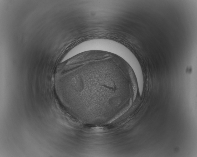 X0000111600320200908061420