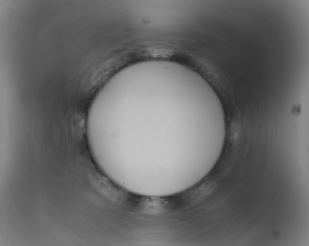 X0000111600321200908061420