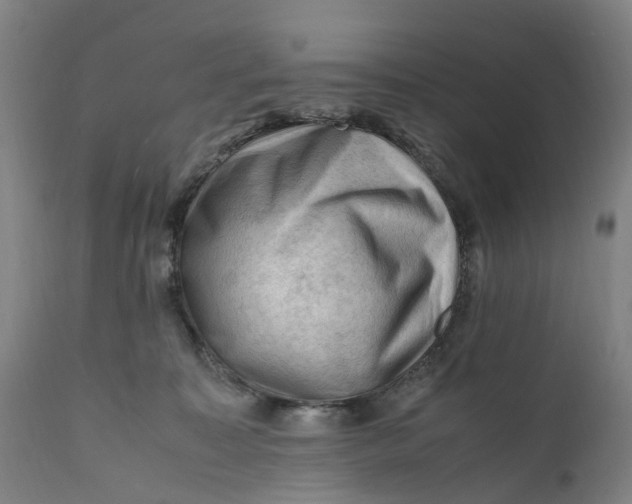 X0000111600323200908061420