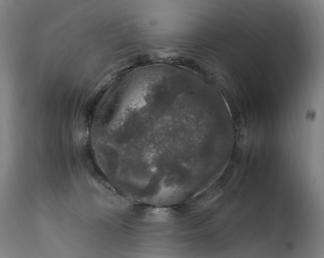 X0000111600324200908061420