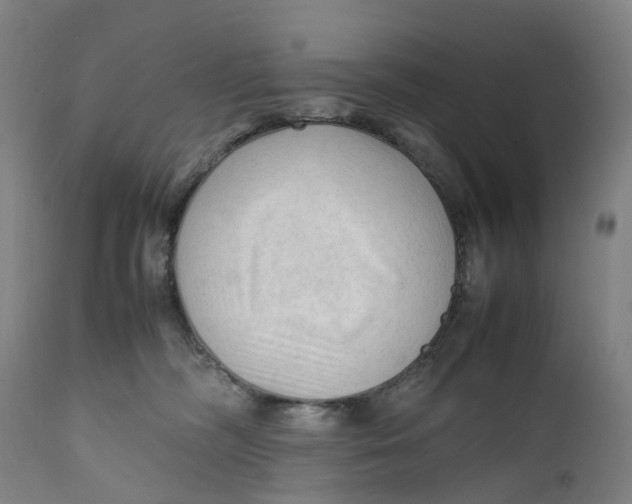 X0000111600326200908061420