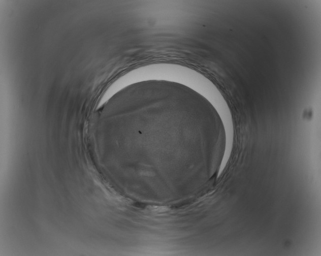 X0000111600327200908061420