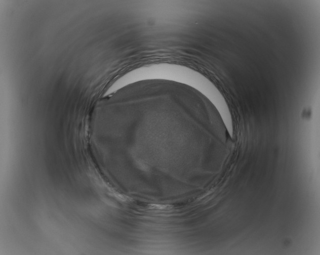 X0000111600328200908061420