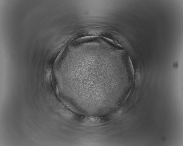 X0000111600329200908061420