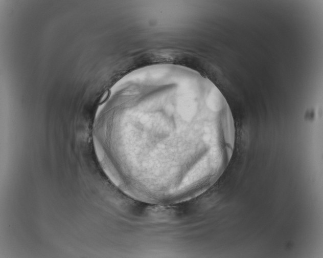X0000111600331200908061420